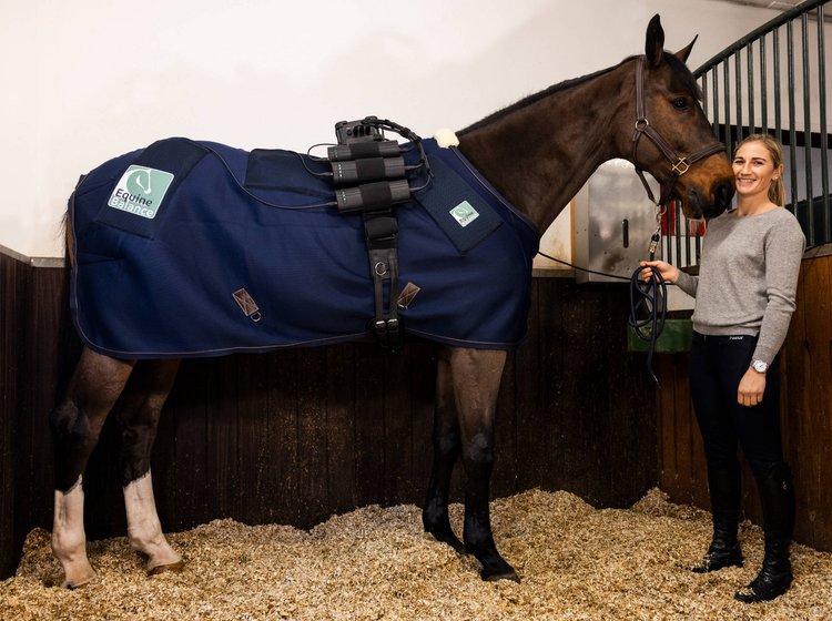 Ein Pferd mit Equine Balance Ganzkörpersystem und Katharina Rhomberg